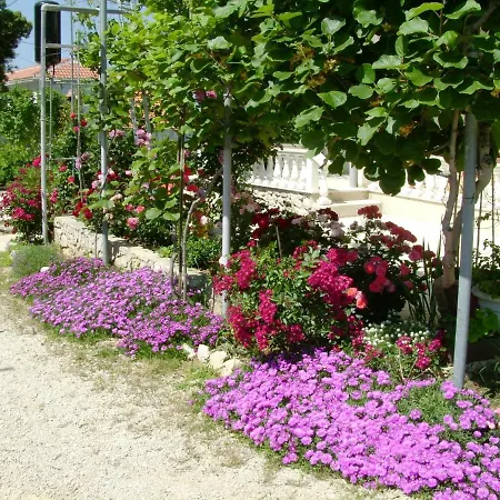 Apartment By The Sea - Mulo, Zadar - 5791
