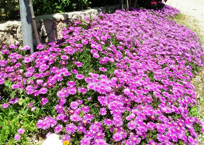 Apartmán By The Sea - Mulo, Zadar - 5791